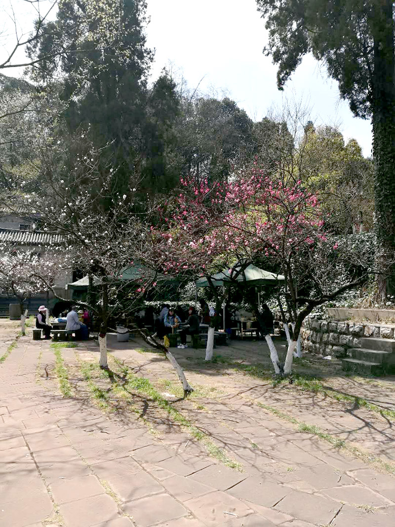 k8.com(中国区)官方网站