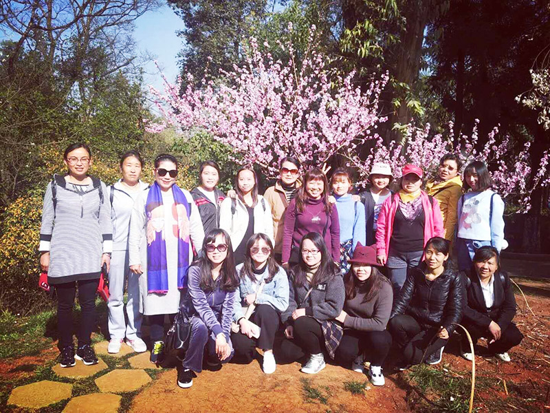 k8.com(中国区)官方网站