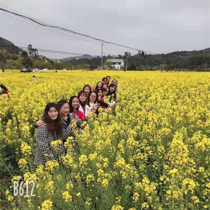 k8.com(中国区)官方网站