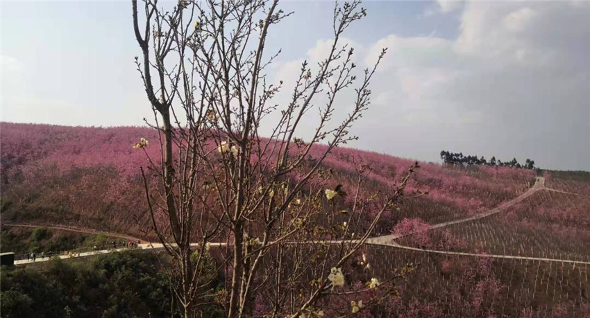 k8.com(中国区)官方网站