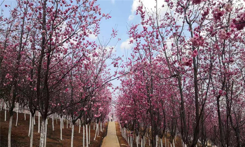 k8.com(中国区)官方网站